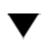 Camera button